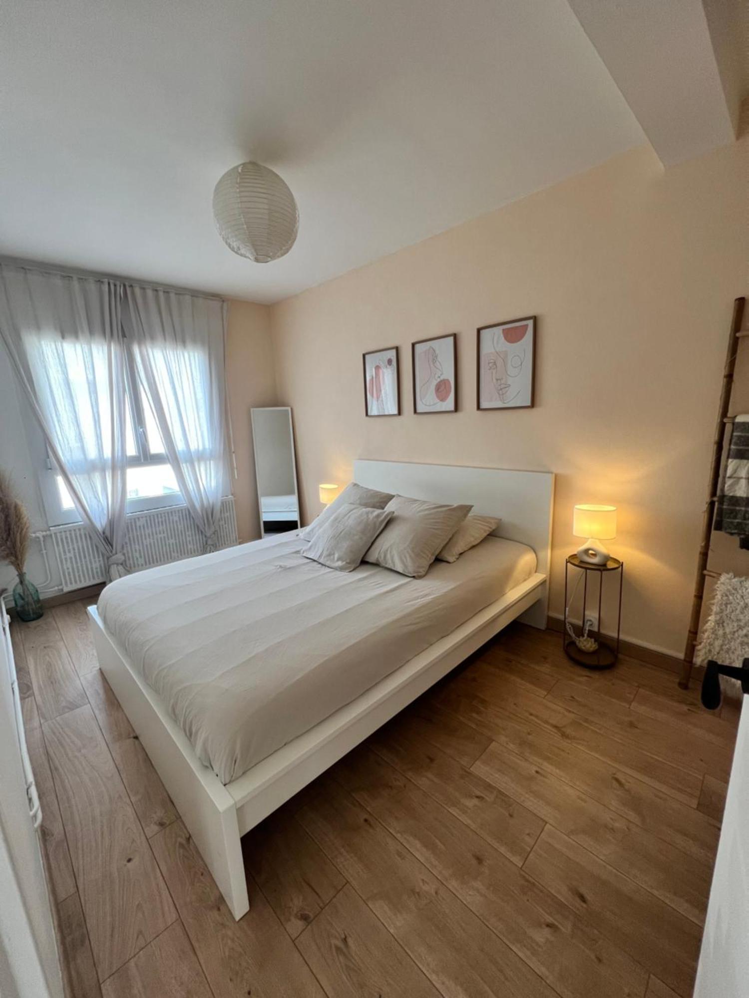 Le Bellevue - T3 - Gare & Les Jardins Darcy - Parking Free Lejlighed Dijon Eksteriør billede