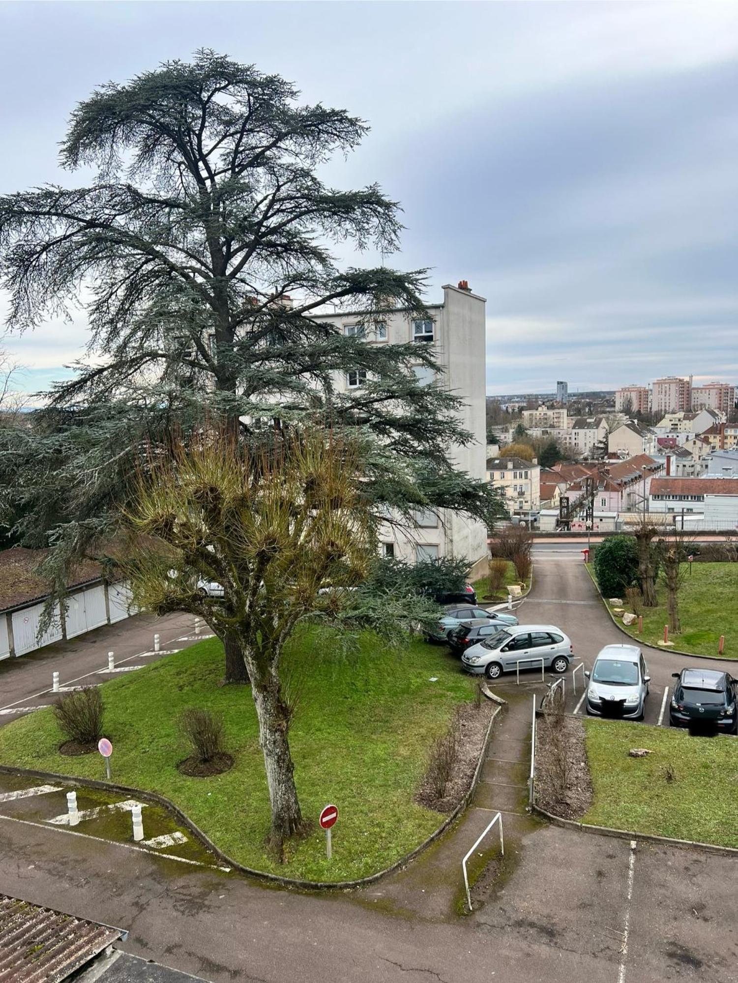 Le Bellevue - T3 - Gare & Les Jardins Darcy - Parking Free Lejlighed Dijon Eksteriør billede