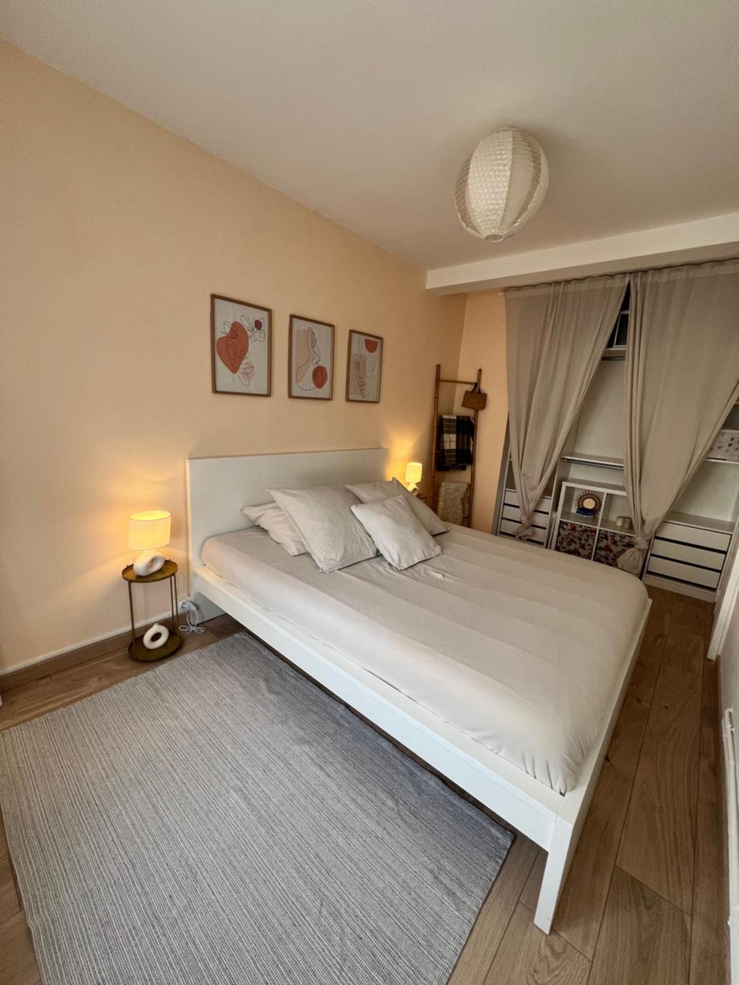 Le Bellevue - T3 - Gare & Les Jardins Darcy - Parking Free Lejlighed Dijon Eksteriør billede